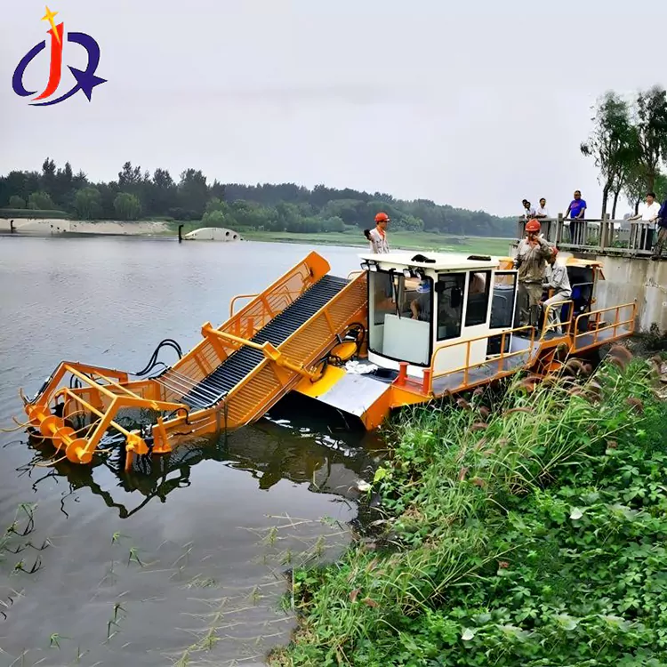 Гіацинт і ряска